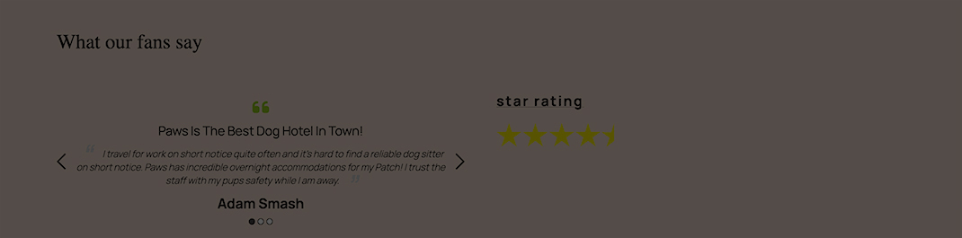 testimonial screen shot